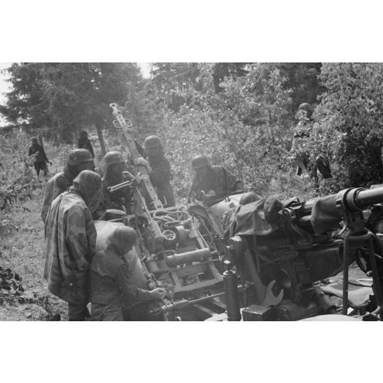 Démontage et attelage d'une pièce de DCA de 3,7 cm FlaK 18 : les servants tirent la pièce pour la relier à sa remorque.