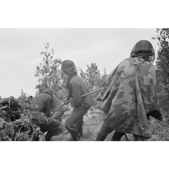 Démontage et attelage d'une pièce de DCA de 3,7 cm FlaK 18 : les servants tirent la pièce pour la relier à sa remorque.