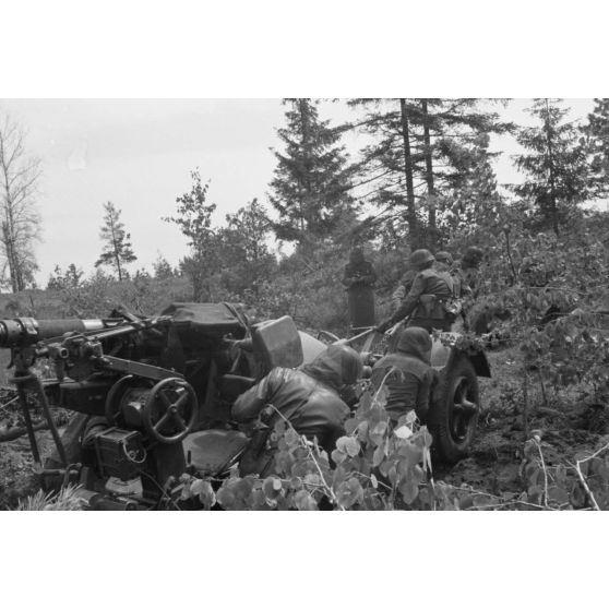 Démontage et attelage d'une pièce de DCA de 3,7 cm FlaK 18 : les servants tirent la pièce pour la relier à sa remorque.