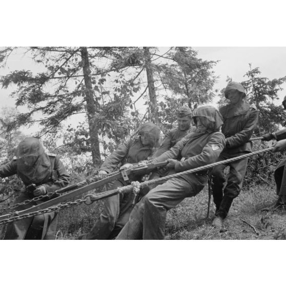 Démontage et attelage d'une pièce de DCA de 3,7 cm  FlaK 18 : les servants tirent la pièce pour la relier à sa remorque.