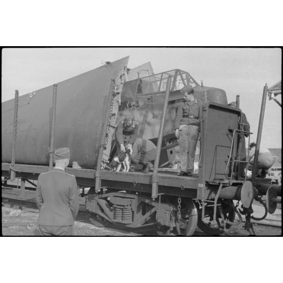 Sur le terrain d'aviation de Gardermoen, la mascotte du 8./LLG 1 (Lulftlandegeschwader 1) vient perturber le personnel du groupe lors de la fixation des planeurs DFS-230 sur des wagons de chemin de fer.