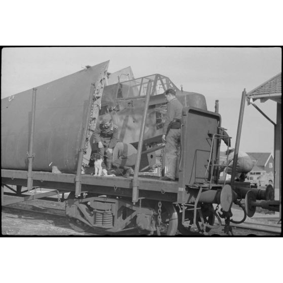 Sur le terrain d'aviation de Gardermoen, la mascotte du 8./LLG 1 (Lulftlandegeschwader 1) vient perturber le personnel du groupe lors de la fixation des planeurs DFS-230 sur des wagons de chemin de fer.