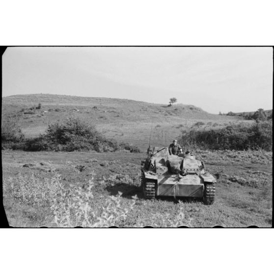 Les Sturmgeschütz III, canons d'assaut allemands au service des Italiens au sein du Sturmgeschütz-Abteilung 242.