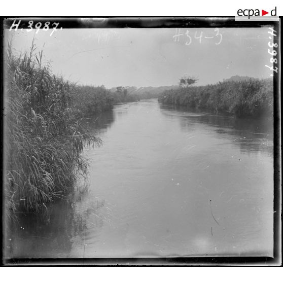 Rives du Wouri. Berges resserrées. [légende d'origine]