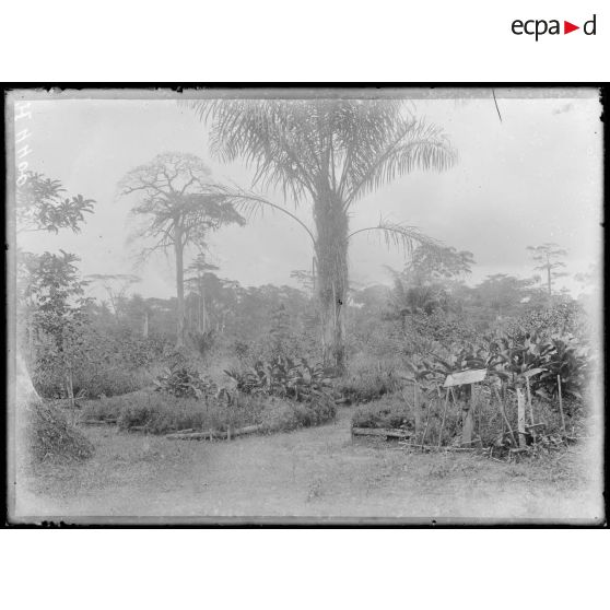 Route de Yaoundé, kilomètre 45. Lengoé. Cimetière des tirailleurs. [légende d'origine]