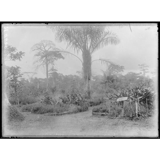 Route de Yaoundé, kilomètre 45. Lengoé. Cimetière des tirailleurs. [légende d'origine]