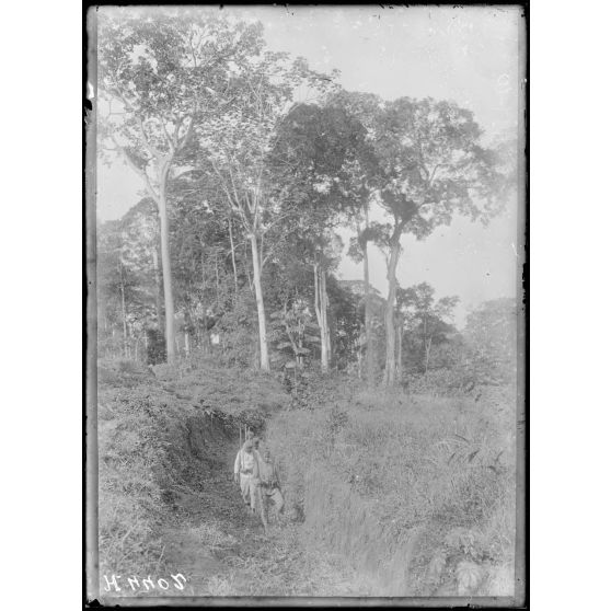 Route de Yaoundé, kilomètre 45, Lengoé. Tranchée allemande orientée S.E. [légende d'origine]