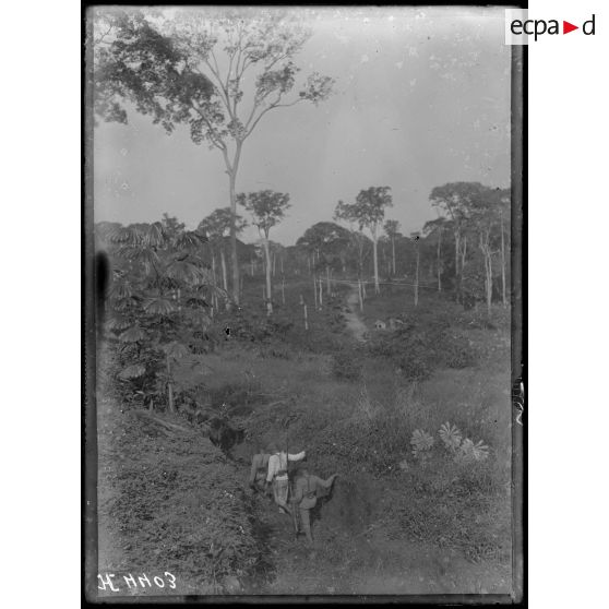 Route de Yaoundé, kilomètre 45, Lengoé. Tranchée allemande orientée S.E. et la route qu'elle commande. [légende d'origine]