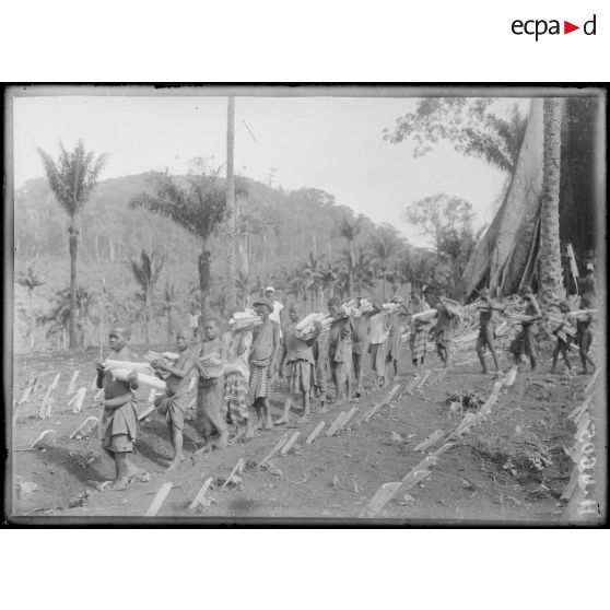 Djombé. Indigènes portant des paquets de tiges protectrices sur le terrain. [légende d'origine]