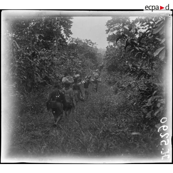 Sur le Campo. Plantation de Dipikar. Convoi dans la plantation. [légende d'origine]