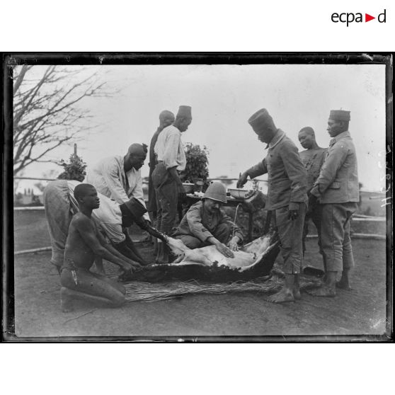 N'Gaoundéré village. Ensemencement d'une génisse. [légende d'origine]