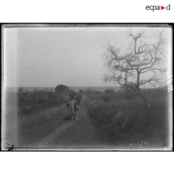 Route de N'Gaoundéré à Garoua. A 1h de Pokor. La route et l'aspect de la contrée vers le nord-est. [légende d'origine]