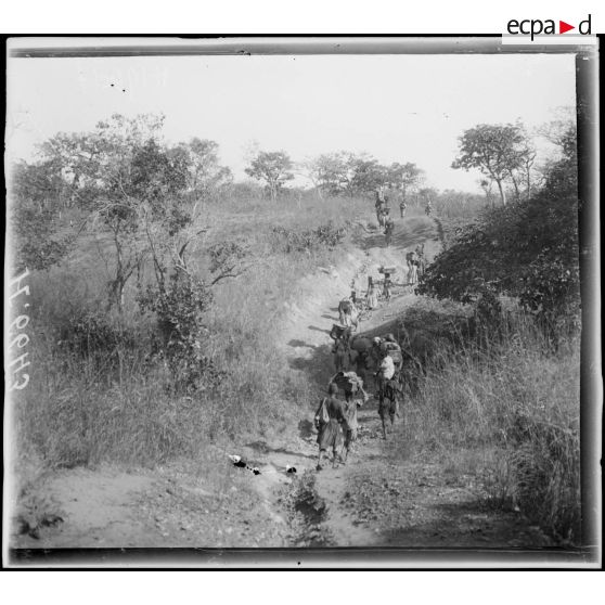 Route de N'Gaoundéré à Garoua. A 3h de Pokor, passage d'un mayo. [légende d'origine]