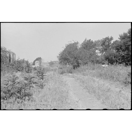 En Italie, sur le front d'Anzio-Nettuno (Latium), des soldats de la 5e division d'infanterie britannique (5th infantry division) capturés par des parachutistes de la 4e division aéroportée allemande (4.Fallschirmjäger-Division).