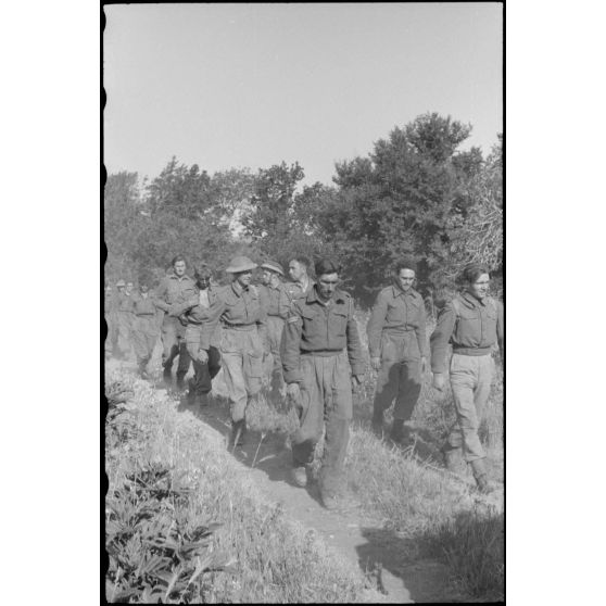 En Italie, sur le front d'Anzio-Nettuno (Latium), des soldats de la 5e division d'infanterie britannique (5th infantry division) capturés par des parachutistes de la 4e division aéroportée allemande (4.Fallschirmjäger-Division).