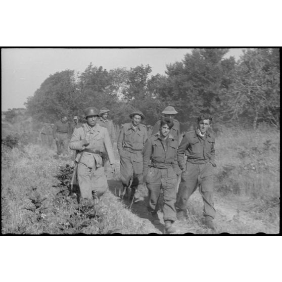 En Italie, sur le front d'Anzio-Nettuno (Latium), des soldats de la 5e division d'infanterie britannique (5th infantry division) capturés par des parachutistes de la 4e division aéroportée allemande (4.Fallschirmjäger-Division).