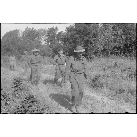 En Italie, sur le front d'Anzio-Nettuno (Latium), des soldats de la 5e division d'infanterie britannique (5th infantry division) capturés par des parachutistes de la 4e division aéroportée allemande (4.Fallschirmjäger-Division).