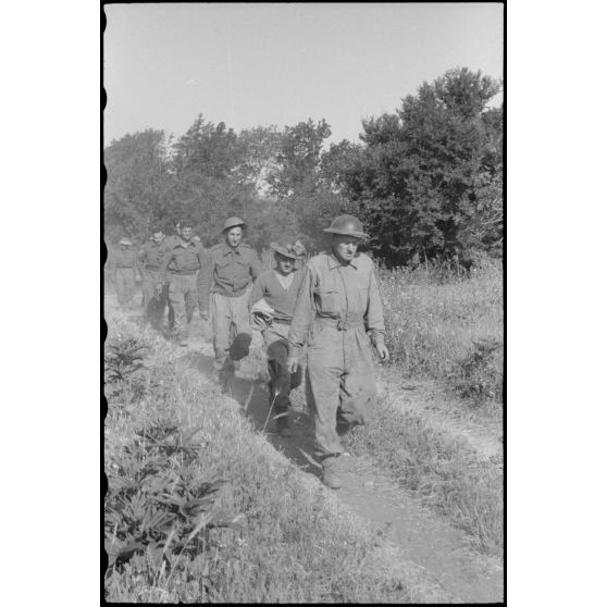 En Italie, sur le front d'Anzio-Nettuno (Latium), des soldats de la 5e division d'infanterie britannique (5th infantry division) capturés par des parachutistes de la 4e division aéroportée allemande (4.Fallschirmjäger-Division).