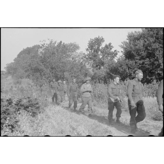 En Italie, sur le front d'Anzio-Nettuno (Latium), des soldats de la 5e division d'infanterie britannique (5th infantry division) capturés par des parachutistes de la 4e division aéroportée allemande (4.Fallschirmjäger-Division).