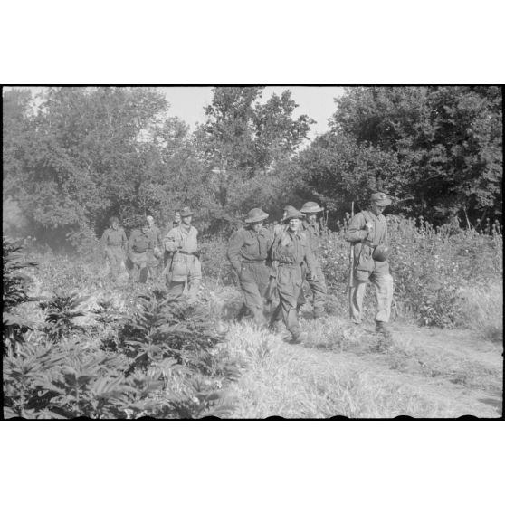 En Italie, sur le front d'Anzio-Nettuno (Latium), des soldats de la 5e division d'infanterie britannique (5th infantry division) capturés par des parachutistes de la 4e division aéroportée allemande (4.Fallschirmjäger-Division).