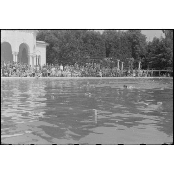 A Belgrade, un public nombreux est venu assister à des épreuves de natation (Schwimmfest).