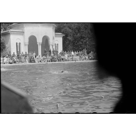 A Belgrade, un public nombreux est venu assister à des épreuves de natation (Schwimmfest).