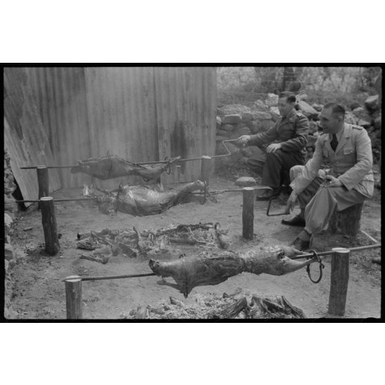 Des officiers de la Luftwaffe lors de la préparation d'un méchoui organisé au sein d'une unité de reconnaissance de l'armée de l'Air allemande (Aufklärungsgruppe).