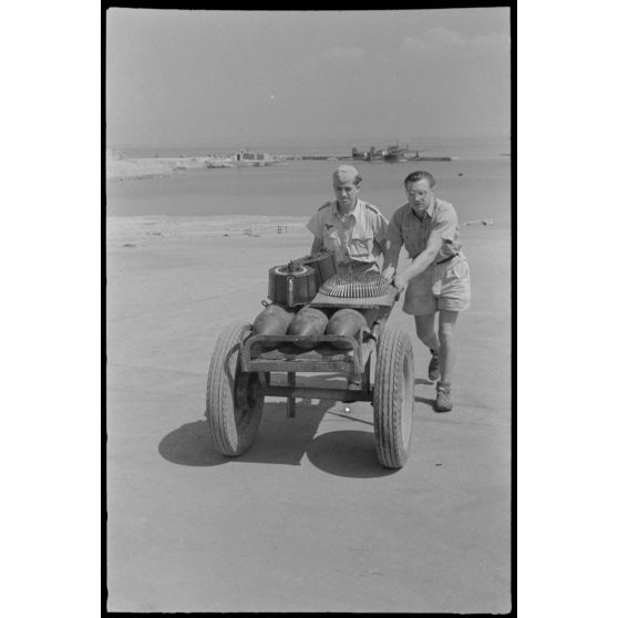 Des mécaniciens s'apprêtent à recharger les canons d'un Arado Ar-196 du Seeaufklärungsgruppe 126.