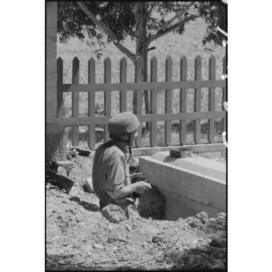 En Sicile, un parachutiste allemand de la 1.Fallschirmjäger-Division défenseur de la route 115.