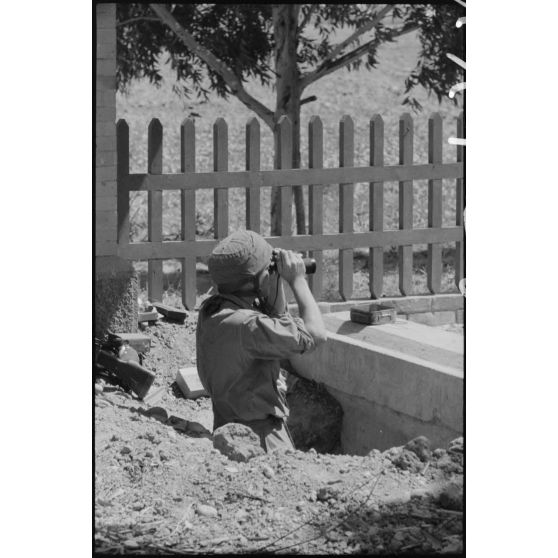 En Sicile, un parachutiste allemand de la 1.Fallschirmjäger-Division défenseur de la route 115.