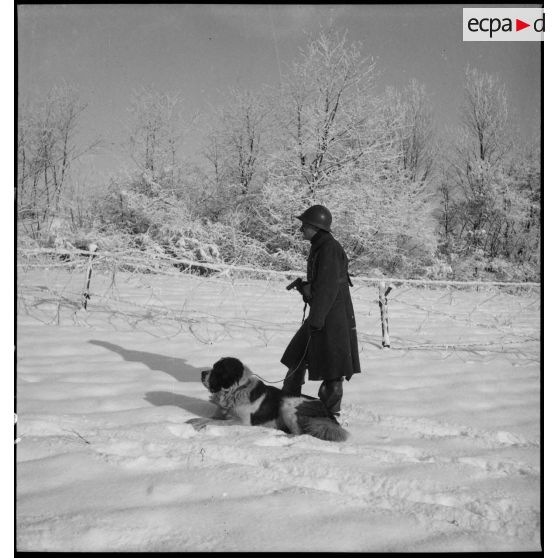 Un officier de la 5e armée est photographié en pied tenant un chien saint-bernard en laisse couché à ses côtés.