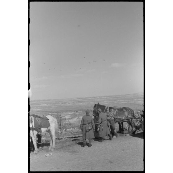 Sur la route entre Wjasma (Viazma) et Smolensk, durant l'opération Büffelbewegung, un combat aérien stoppe la retraite du convoi hippomobile allemand.