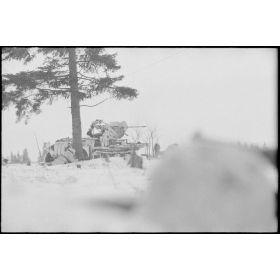 Un semi-chenillé Sd.kfz.10/4, armé d'un canon de 2 cm Flak 38.