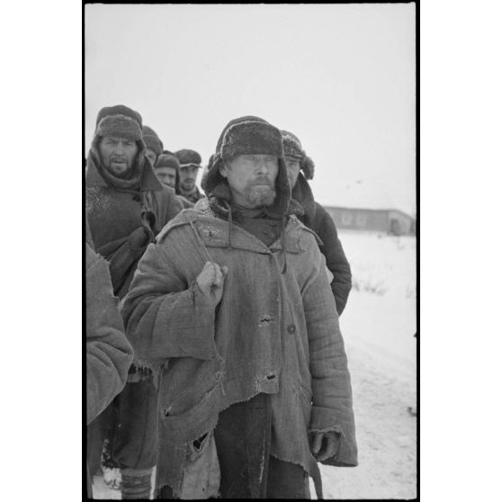 Prisonniers de l'Armée rouge dans le secteur de Witebsk.