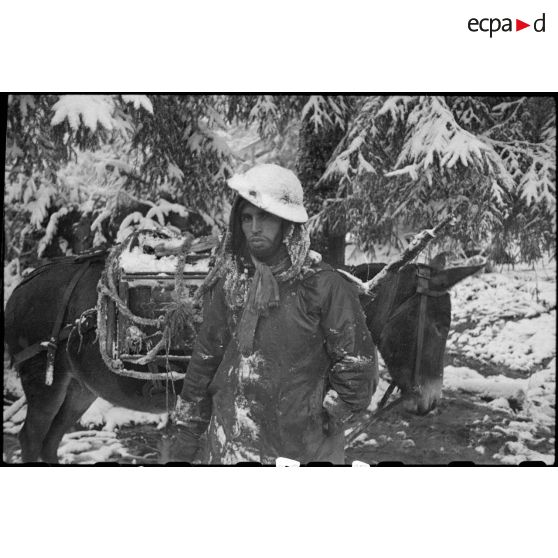 Goumier d'un groupe de tabors marocains dans la forêt vosgienne lors de la progression de la 3e division d'infanterie algérienne (3e DIA) vers Rochesson.