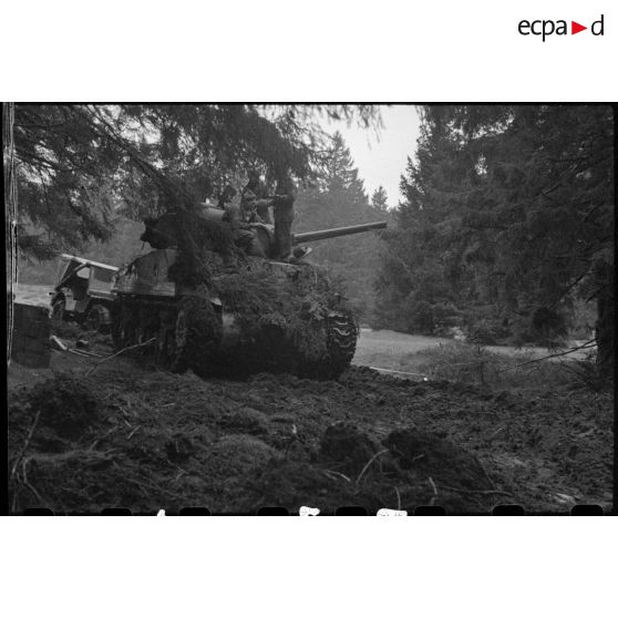 Char Sherman du 6e RCA (régiment de chasseurs d'Afrique) en embuscade dans les taillis de la forêt vosgienne lors de la progression de la 3e DIA (division d'infanterie algérienne) vers Rochesson entre le 3 et le 5 novembre 1944.