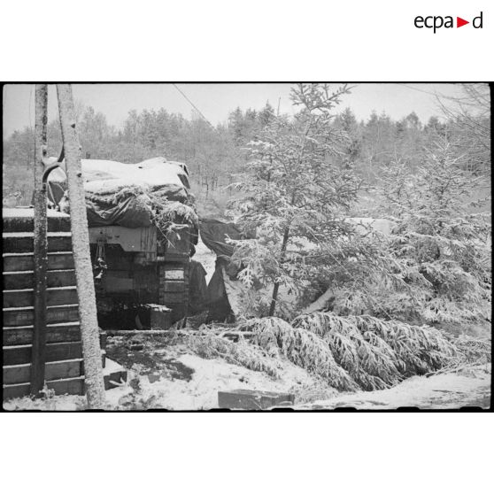 Goumiers du 2e GTM à leur poste de guet dans la forêt vosgienne lors de la progression de la 3e DIA vers Rochesson.