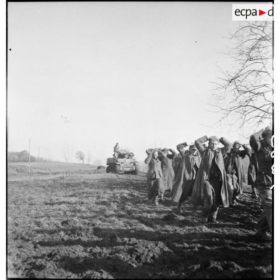 Colonne de prisonniers allemands capturés en grand nombre par des éléments de la 2e DIM dans le secteur d'Héricourt.