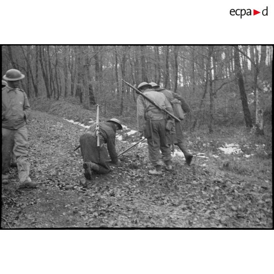 Soldats de la 1re DMI (division de marche d'infanterie) déminant dans un bois sur les hauteurs dominantes au nord-est de Champagney.