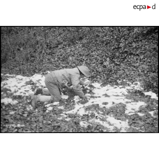 Soldats de la 1re DMI (division de marche d'infanterie) déminant dans un bois sur les hauteurs dominantes au nord-est de Champagney.