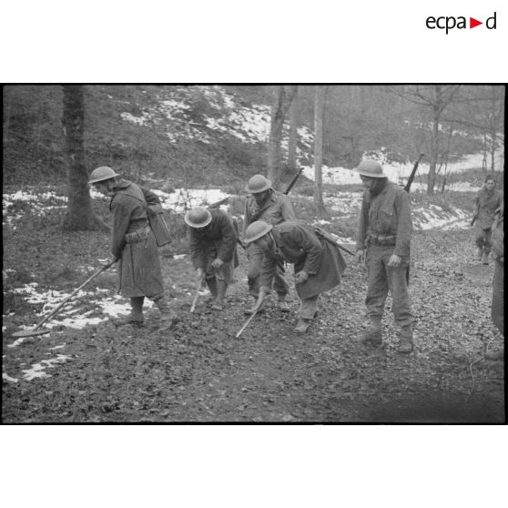 Soldats de la 1re DMI (division de marche d'infanterie) déminant dans un bois sur les hauteurs dominantes au nord-est de Champagney.