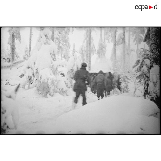 Patrouille de reconnaissance par les hommes du 1er RFM (régiment de fusiliers marins), dans la forêt enneigée de Grattery, dans les environs de Champagney (Haute-Saône).