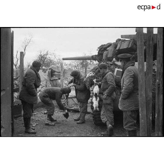 Des soldats du RBFM préparent deux lapins pour leur repas dans le village de Kogenheim (Bas-Rhin).