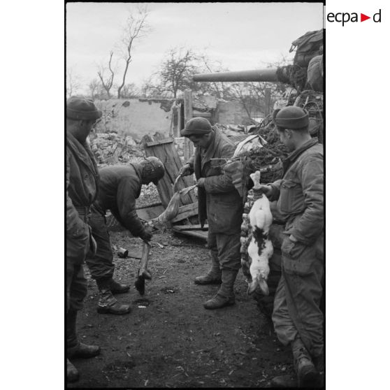 Des soldats du RBFM préparent deux lapins pour leur repas dans le village de Kogenheim (Bas-Rhin).