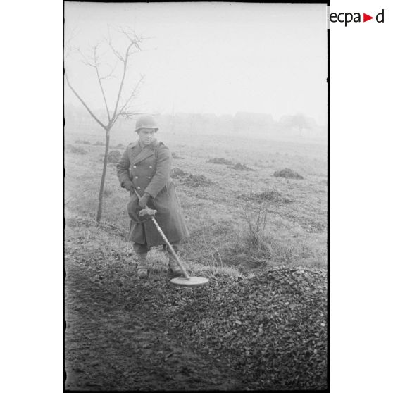 Entre Benfeld et Wintternheim, des sapeurs de la 3e compagnie du 13e bataillon du génie déminent les abords d'un sentier à l'aide d'un détecteur de mines.