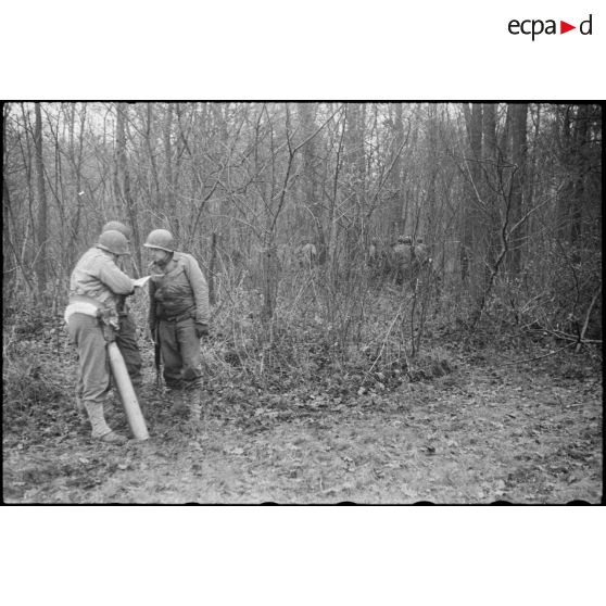 Progression d'hommes de la 2e DB (division blindée) dans un bois dans le secteur de Benfeld et Wintternheim (Bas-Rhin).