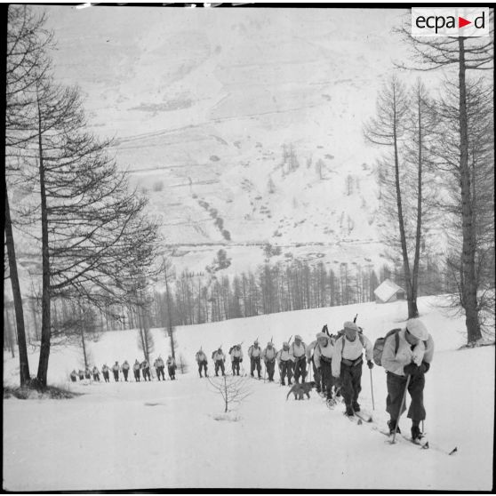 Une section d'éclaireurs-skieurs en mission de reconnaissance gravit une pente enneigée.