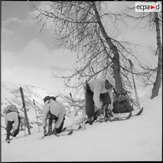 Des éclaireurs-skieurs chaussent leurs skis.