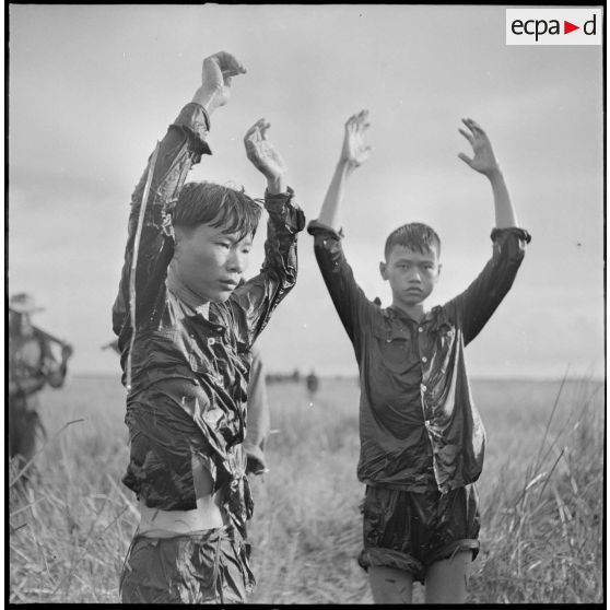 Arrestation de partisans du Vietminh dans une rizière par des éléments du 43e régiment d'infanterie coloniale au cours de l'opération Tourbillon 2 en plaine des Joncs.