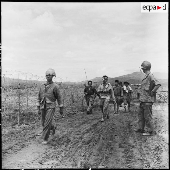 Des soldats du Viêt-minh blessés et faits prisonniers lors d'une reconnaissance arrivent à l'un des points d'appui du camp retranché de Diên Biên Phu.